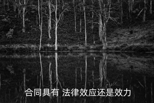 合同和法律哪個(gè)效率大點(diǎn),委托代辦合同 有沒有法律效率