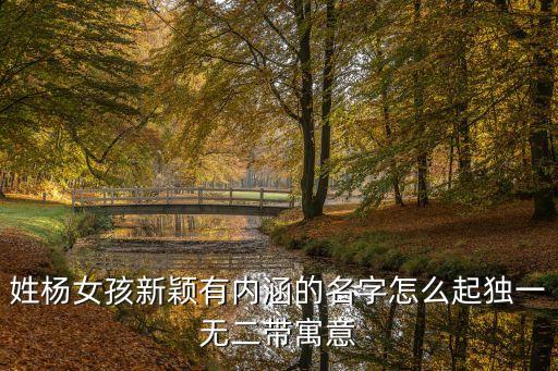 楊亭,楊亮個人資料