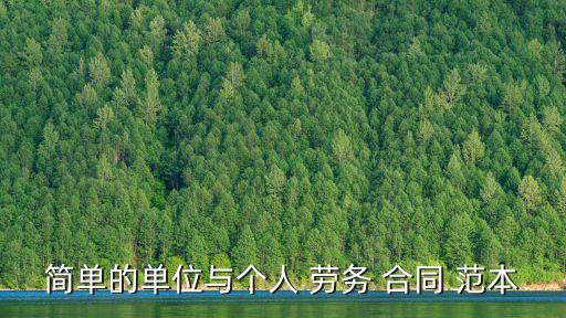 簡單的單位與個人 勞務(wù) 合同 范本