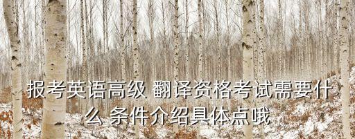  報考英語高級 翻譯資格考試需要什么 條件介紹具體點哦