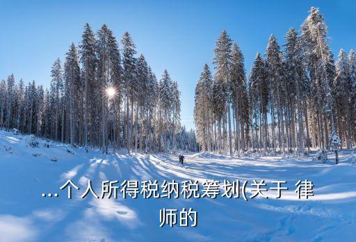 ...個人所得稅納稅籌劃(關(guān)于 律師的