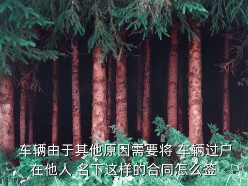  車輛由于其他原因需要將 車輛過戶在他人 名下這樣的合同怎么簽