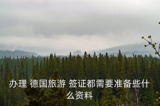 辦理 德國旅游 簽證都需要準(zhǔn)備些什么資料