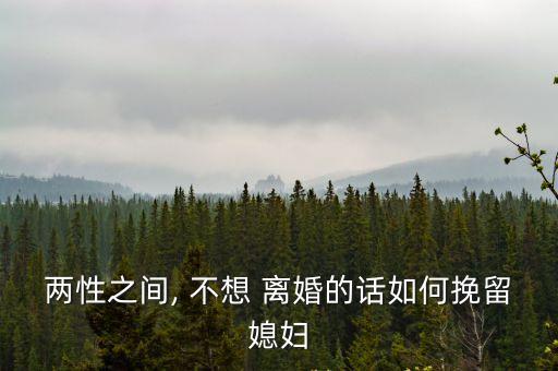 兩性之間, 不想 離婚的話如何挽留媳婦