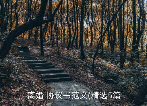  離婚 協(xié)議書范文(精選5篇