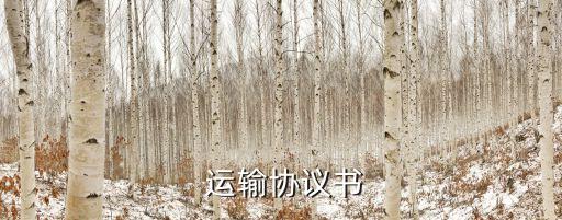  運(yùn)輸協(xié)議書
