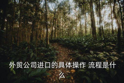  外貿(mào)公司進(jìn)口的具體操作 流程是什么