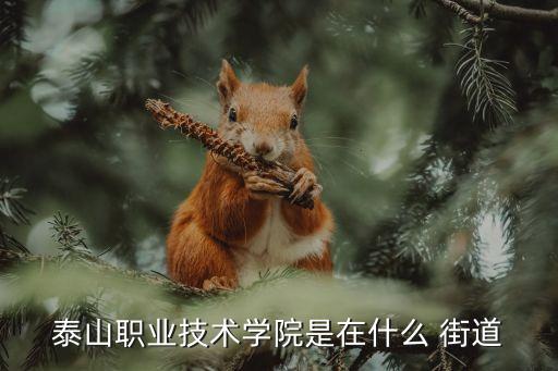 泰前街道
