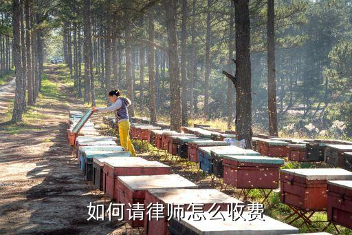 如何請(qǐng)律師怎么收費(fèi)