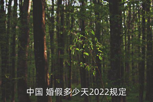 中國 婚假多少天2022規(guī)定
