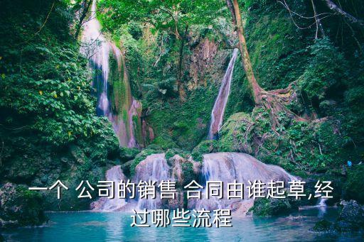 一個(gè) 公司的銷售 合同由誰(shuí)起草,經(jīng)過(guò)哪些流程