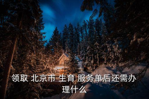 領(lǐng)取 北京市 生育 服務(wù)單后還需辦理什么