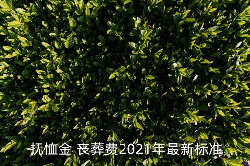  撫恤金 喪葬費2021年最新標準