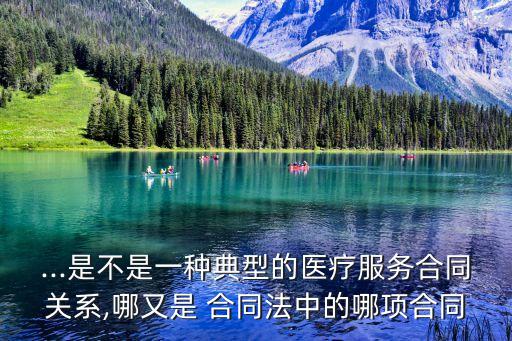 ...是不是一種典型的醫(yī)療服務合同關系,哪又是 合同法中的哪項合同