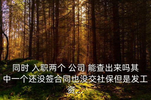 同時(shí) 入職兩個(gè) 公司 能查出來(lái)嗎其中一個(gè)還沒(méi)簽合同也沒(méi)交社保但是發(fā)工資...