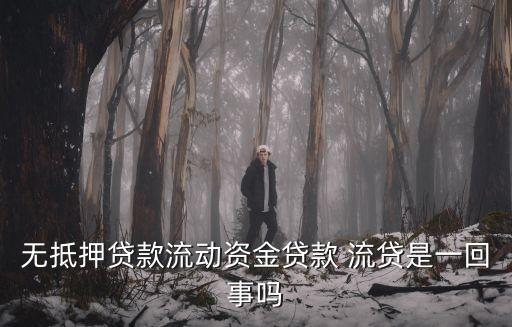 流貸是什么意思,p2p借款是什么意思