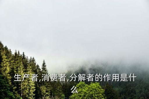 生產(chǎn)者