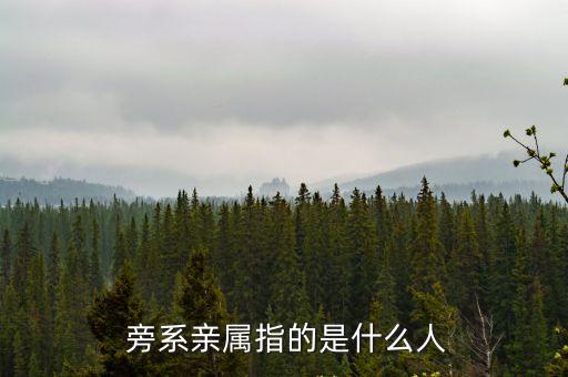  旁系親屬指的是什么人