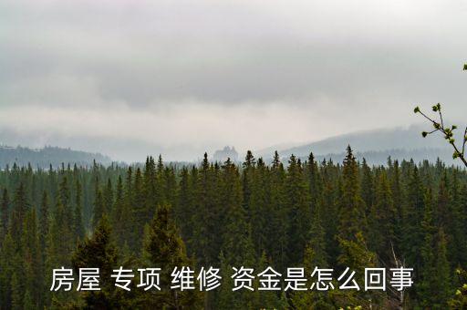 住宅專項(xiàng)維修資金