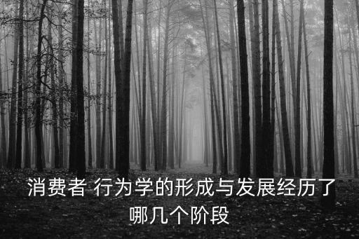  消費(fèi)者 行為學(xué)的形成與發(fā)展經(jīng)歷了哪幾個(gè)階段