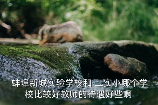  蚌埠新城實驗學校和 二實小哪個學校比較好教師的待遇好些啊