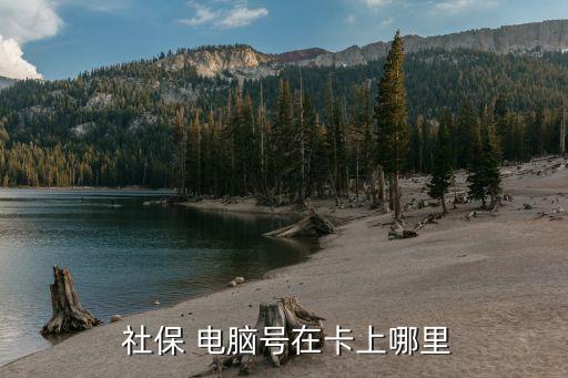 社保電腦號