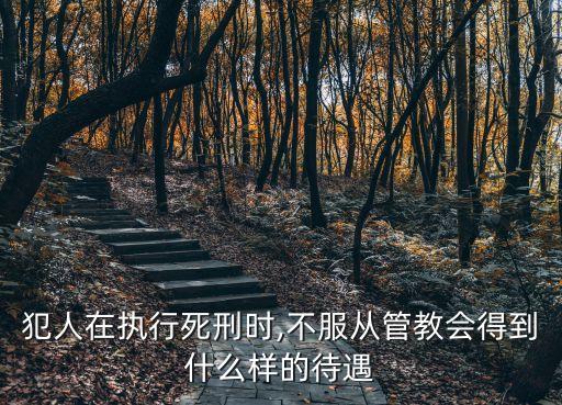 犯人在執(zhí)行死刑時(shí),不服從管教會(huì)得到什么樣的待遇