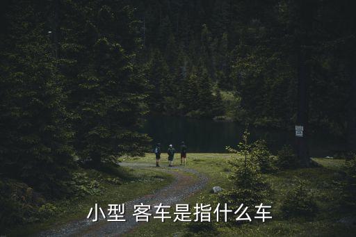 小型專用客車