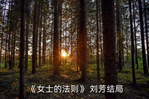 《女士的法則》 劉芳結(jié)局
