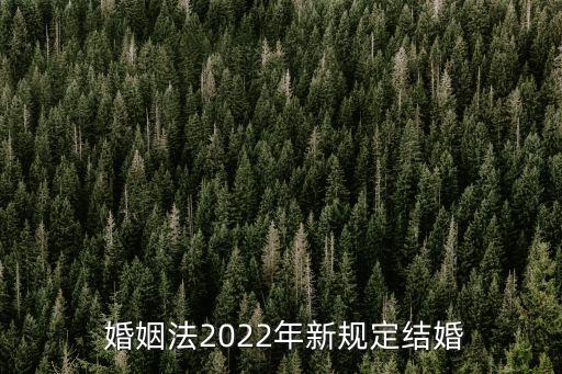 婚姻法新規(guī)定,2023年民法典婚姻法新規(guī)定