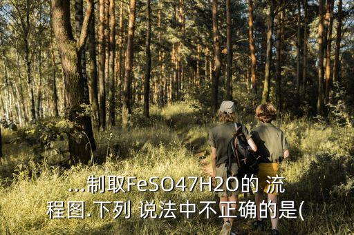 ...制取FeSO47H2O的 流程圖.下列 說法中不正確的是(