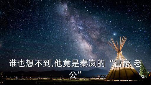 王琳老公