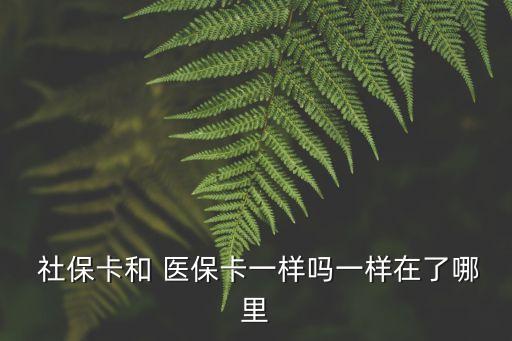  社?？ê?醫(yī)保卡一樣嗎一樣在了哪里