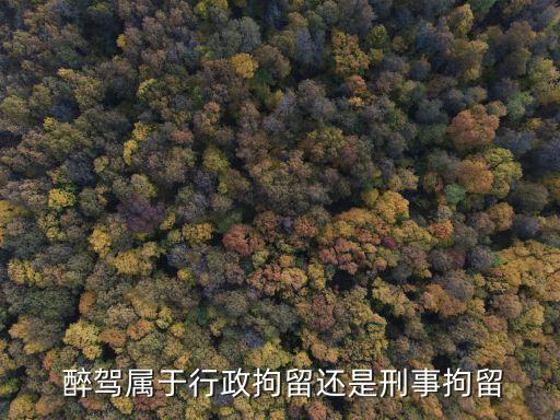 醉駕是刑事犯罪嗎,醉駕2023年新規(guī)放寬