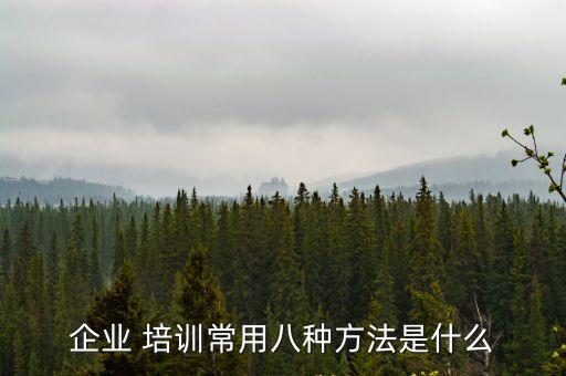 培訓(xùn)方式有哪幾種,電商運(yùn)營(yíng)培訓(xùn)方式有哪幾種
