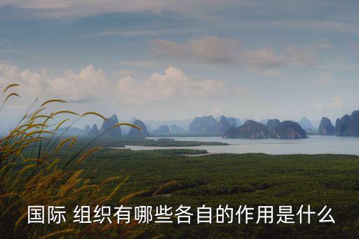 國際組織有哪些,超國家性質(zhì)的國際組織有哪些