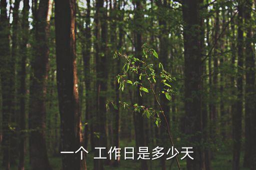 工作日計算,15天陪產(chǎn)假是按自然日還是工作日計算
