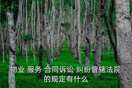 物業(yè) 服務 合同訴訟 糾紛管轄法院的規(guī)定有什么