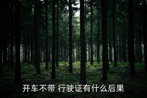 沒帶行駛證