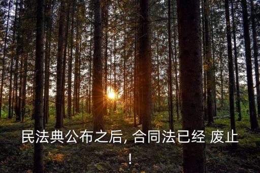 民法典公布之后, 合同法已經(jīng) 廢止!