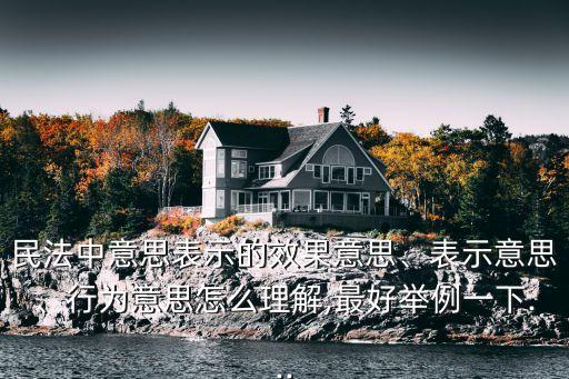 民法中意思表示的效果意思、表示意思、行為意思怎么理解,最好舉例一下...