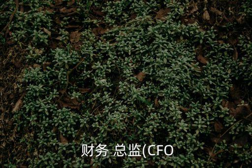 財務(wù) 總監(jiān)(CFO