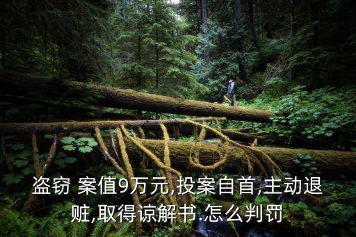 盜竊 案值9萬元,投案自首,主動退贓,取得諒解書.怎么判罰