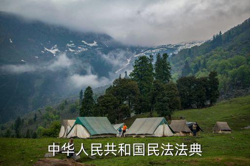 民法典合同編509條