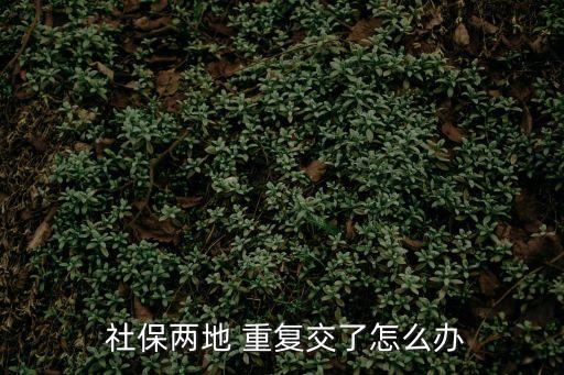 社保重復繳費怎么辦,廣東省內(nèi)社保重復繳費怎么辦