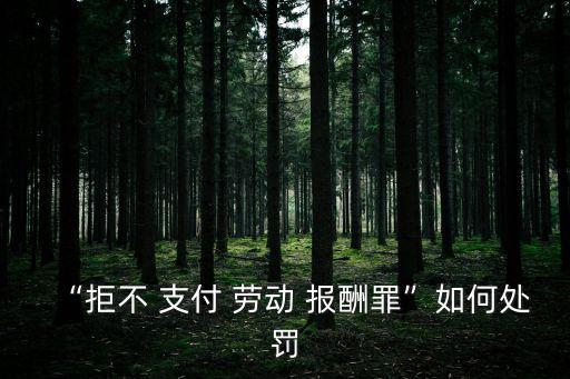 “拒不 支付 勞動(dòng) 報(bào)酬罪”如何處罰