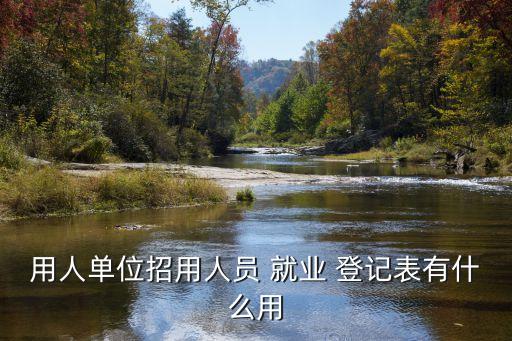 就業(yè)登記表