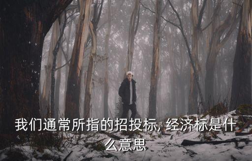 我們通常所指的招投標, 經(jīng)濟標是什么意思