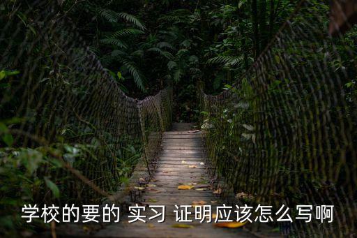 學(xué)校的要的 實(shí)習(xí) 證明應(yīng)該怎么寫啊
