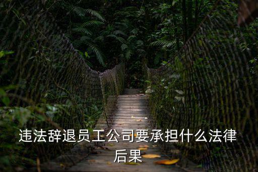 違法解除合同的后果,單位違法解除合同怎么賠償